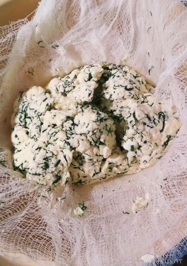 Домашний сыр с зеленью фото
