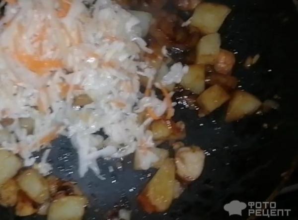 Картошка с квашеной капустой и мясом фото
