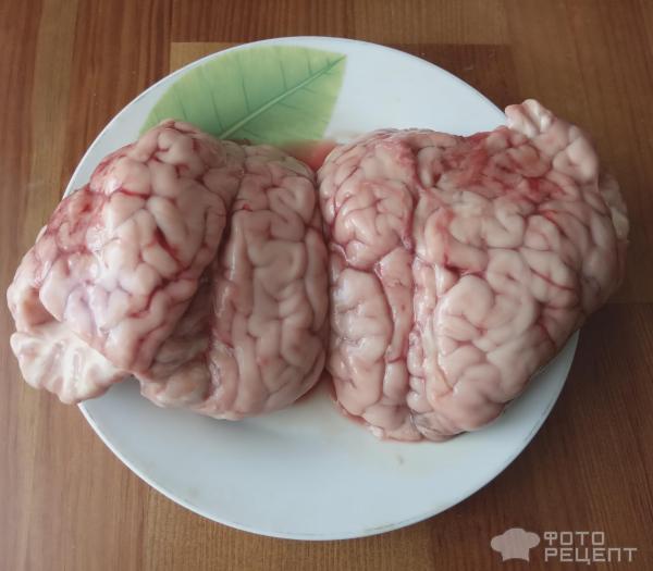 Мозги свиные жареные фото