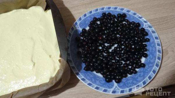 Пирог с творогом и черной смородиной на маргарине фото
