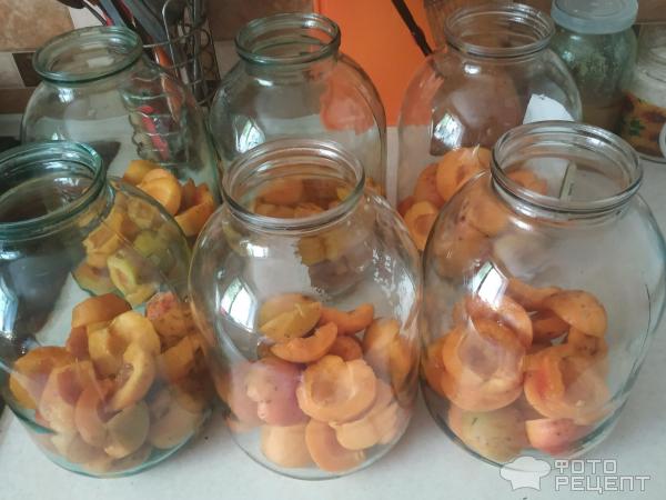 Фанта домашняя с абрикосами фото