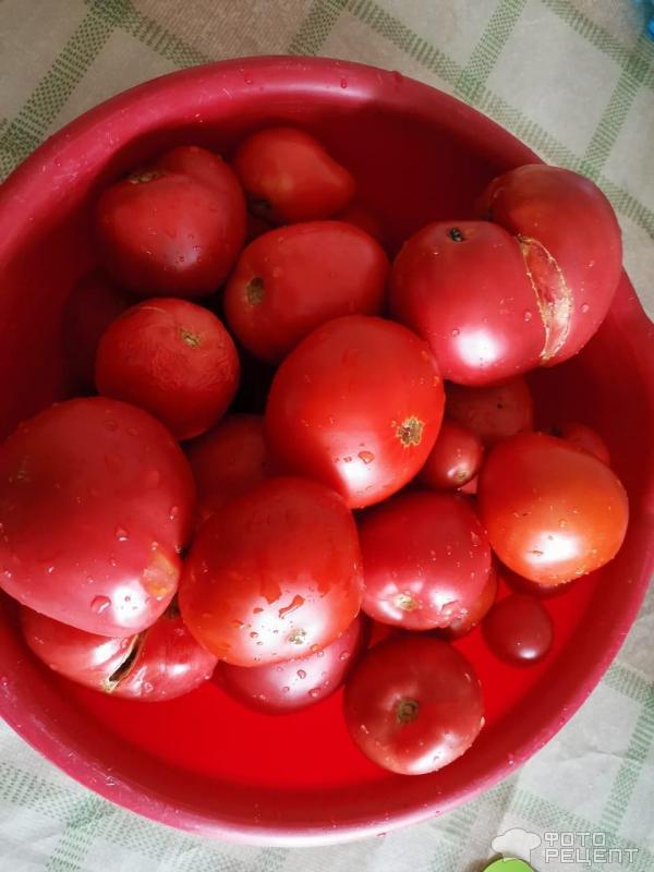 томаты для томатной пасты