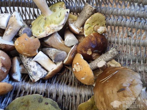 Сушеные грибы в печи фото