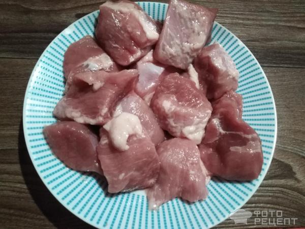 Шашлык из свинины (98 рецептов с фото) - рецепты с фотографиями на Поварёluchistii-sudak.ru