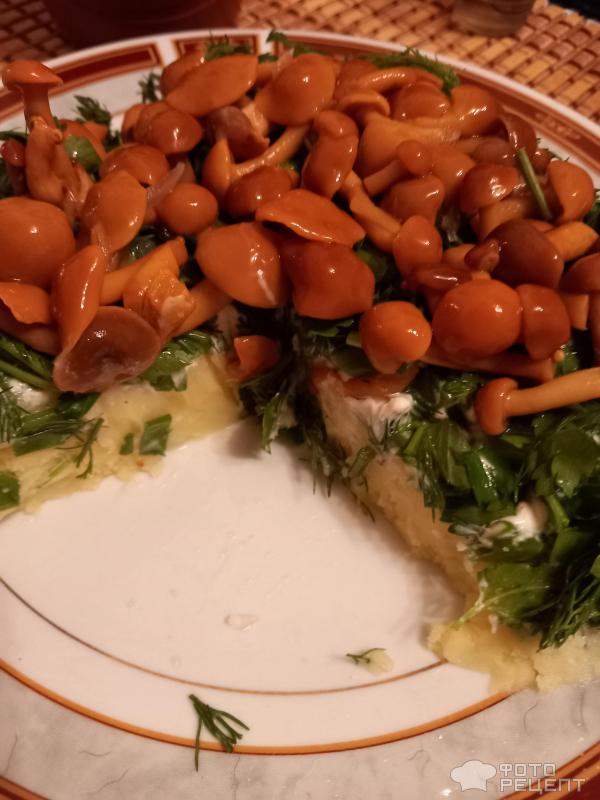 Салат из маринованных опят с майонезом — рецепт с фото пошагово