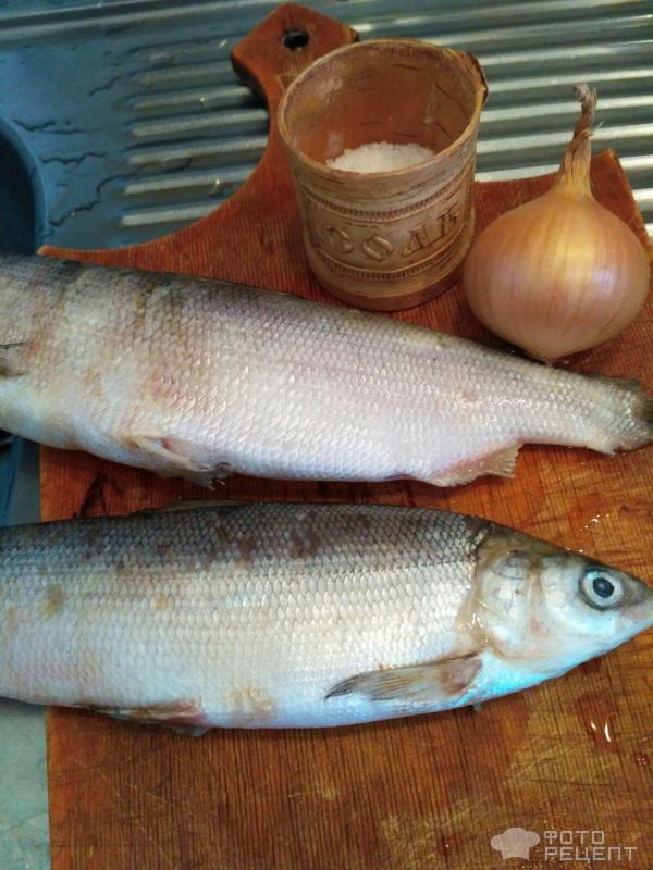 Котлеты из рыбы, запеченные в духовке — рецепт с фото и видео