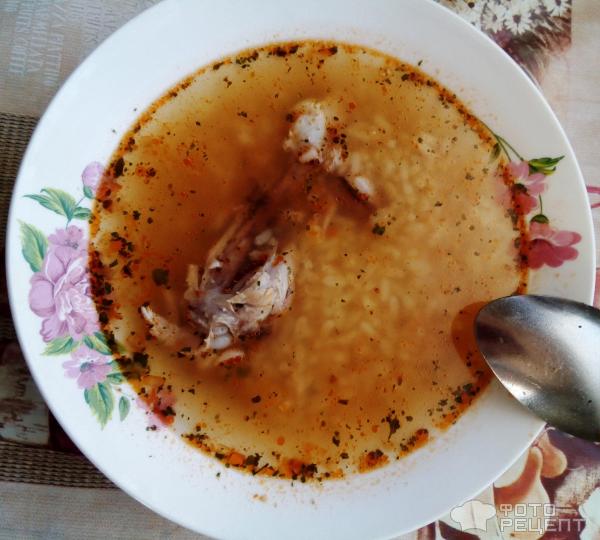 Суп харчо из курицы с рисом фото
