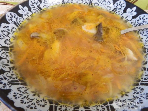 Суп из свежих подосиновиков фото