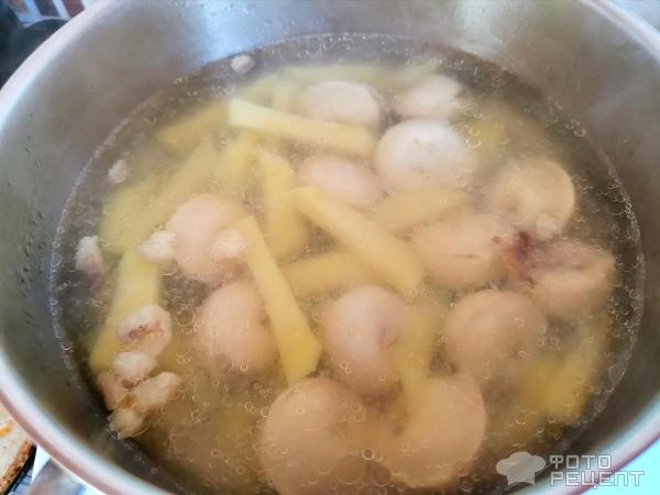 Суп пельменный с картофелем фото