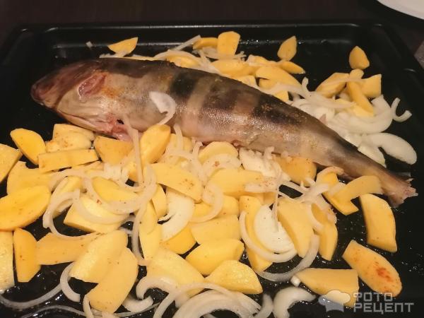 Терпуг в духовке с картошкой — рецепт с фото пошагово