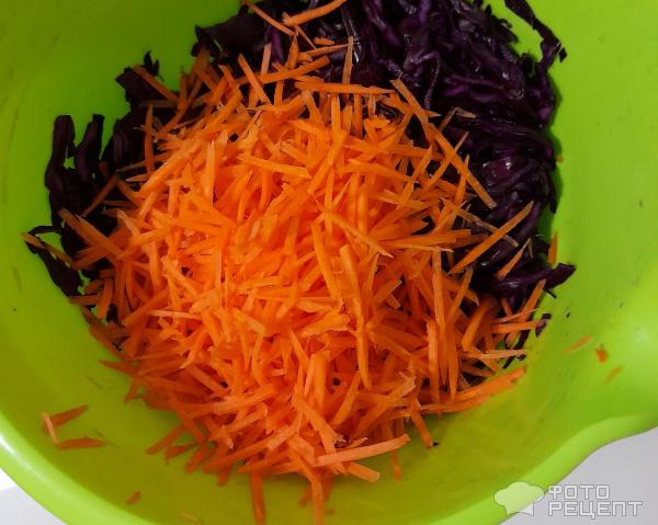 Ингредиенты для салата из краснокочанной капусты