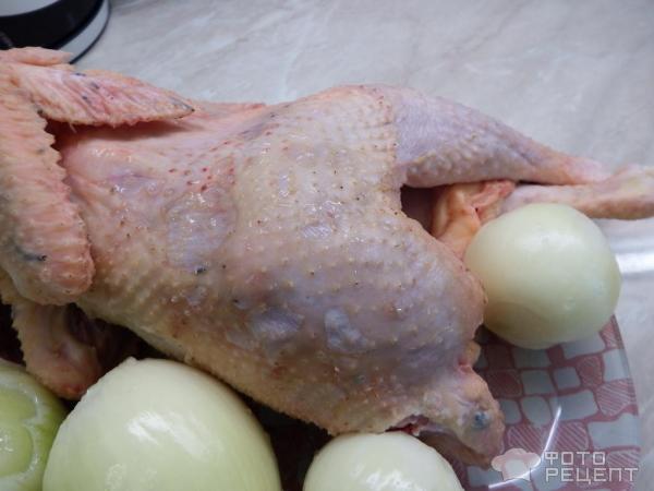 Домашний цыпленок в луково-грибном соусе фото