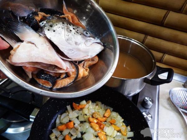 Уха из лосося и пангасиуса на креветочном бульоне фото