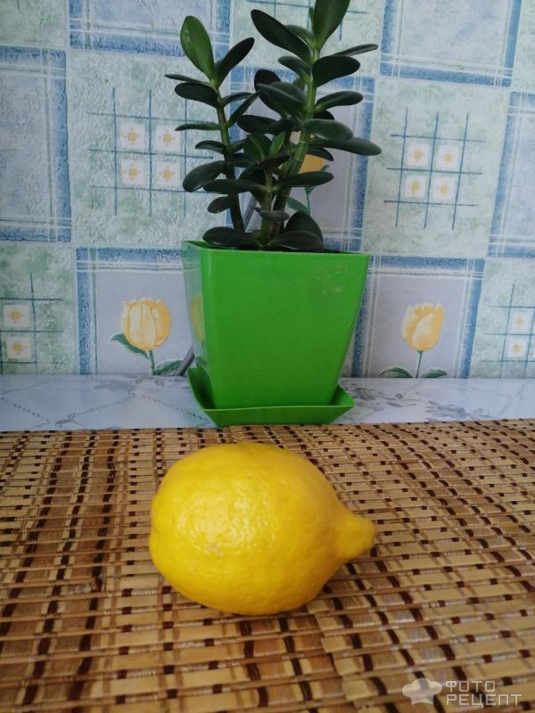Сом жареный в лимонном соке фото