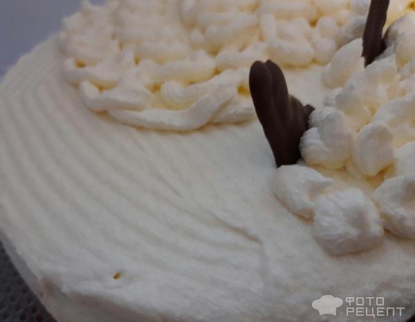 Торт Единорог с малиной и творожным кремом фото