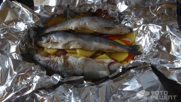 Рыба, запеченная с луком и помидорами в фольге – рецепт с фото