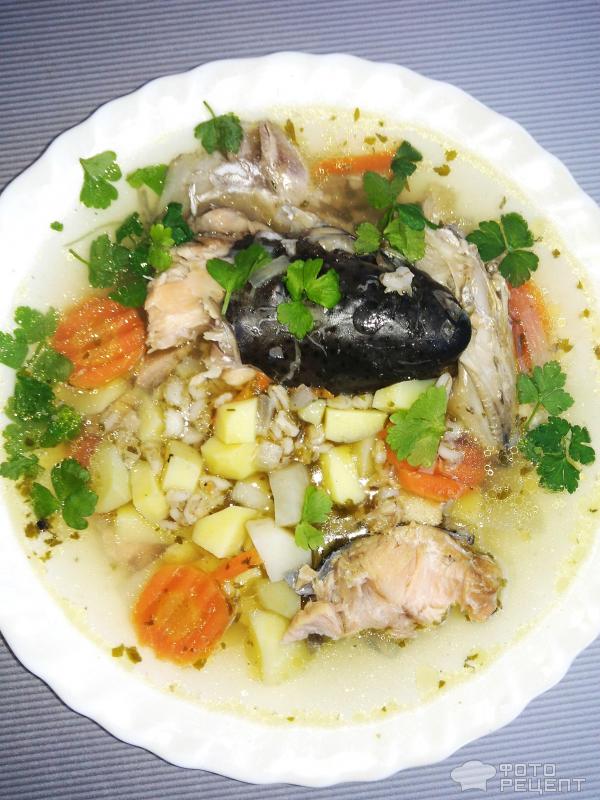 Суп из рыбных консервов в мультиварке