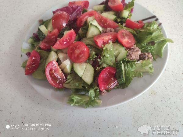 Салат с тунцом и свежими помидорами фото