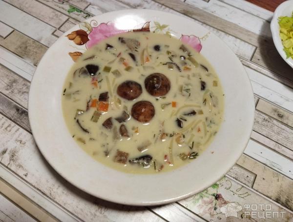 Сырный суп с грибами и домашней лапшой фото