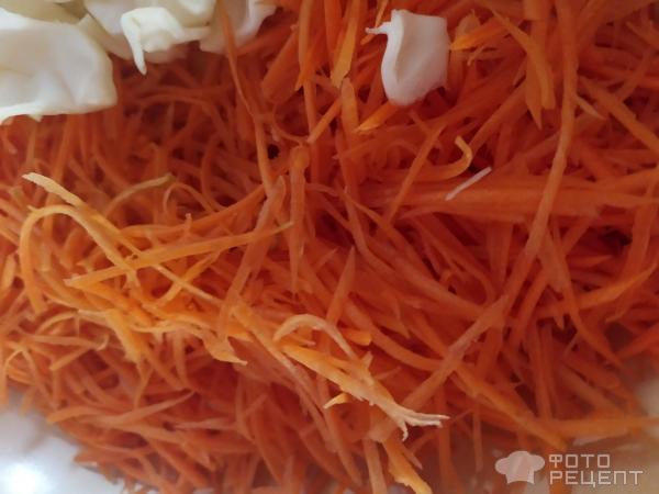 Простые овощи. Что можно приготовить из лука, моркови и капусты