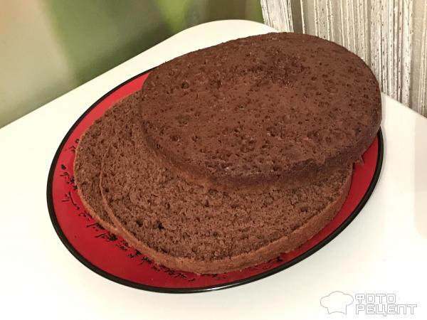 Торт из бисквитов фото