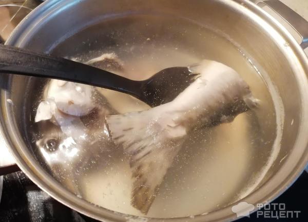 Рыбный суп с пшеном фото