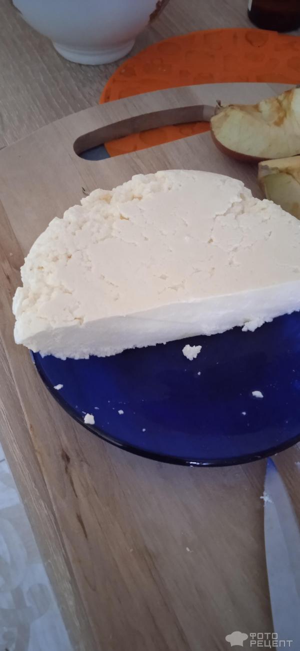 Сыр домашний фото