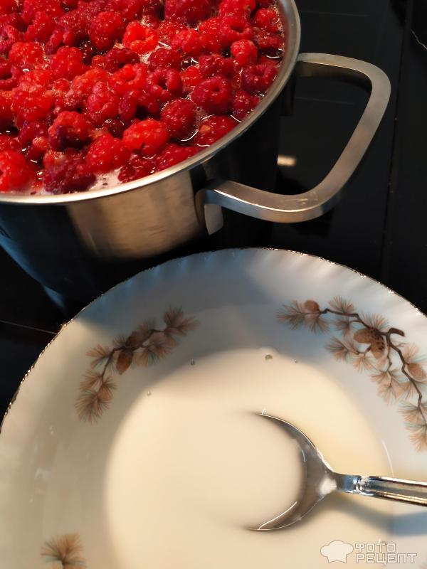 Кисель из свежих ягод малины фото