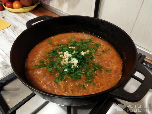 Суп харчо – пошаговый рецепт приготовления с фото