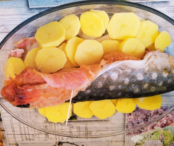 Рыба Кумжа запеченная в духовке фото