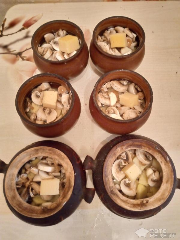 Горшочки с индейкой и грибами фото