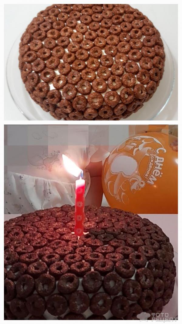 Творожная запеканка-торт со сливами, кокосом и шоколадными колечками фото