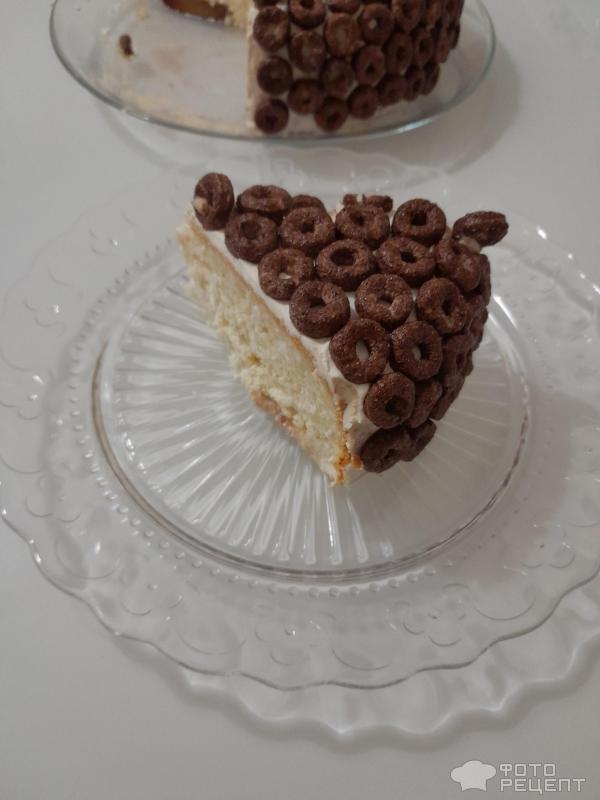 Творожная запеканка-торт со сливами, кокосом и шоколадными колечками фото