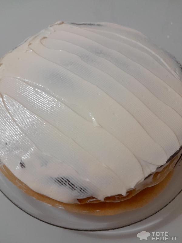Блинный торт Зебра фото