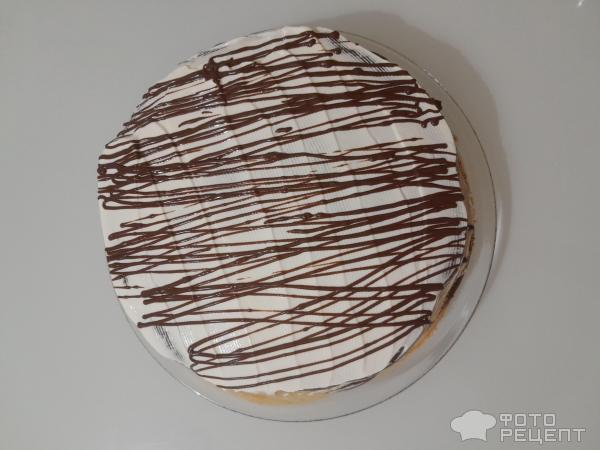Блинный торт Зебра фото