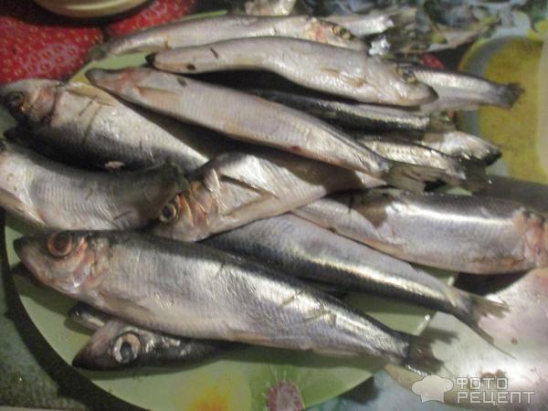 Слабосоленая красная рыба сухой посол, рецепты с фото