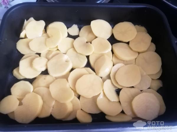 Судак запеченный с картофелем и овощами фото