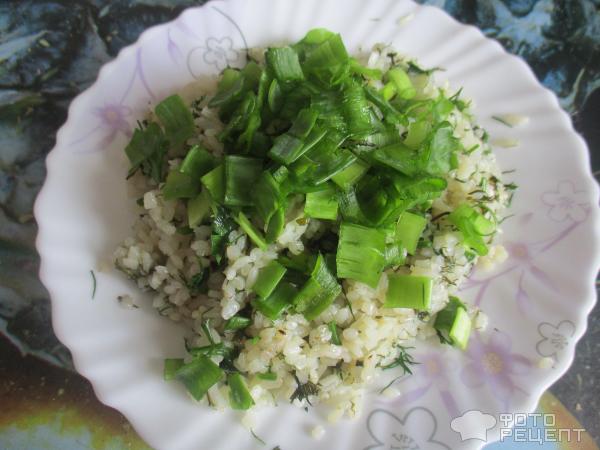Зеленый рис фото