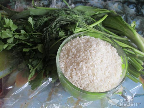 Зеленый рис фото