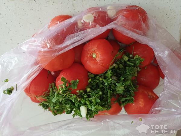 Малосольные помидоры в пакете фото