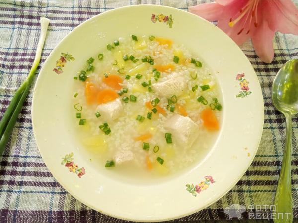 Рисовый суп с куриным филе фото