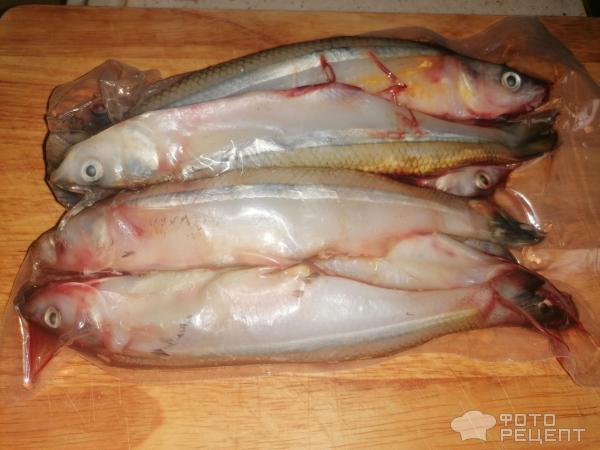 Рецепты из рыбы на день рождения