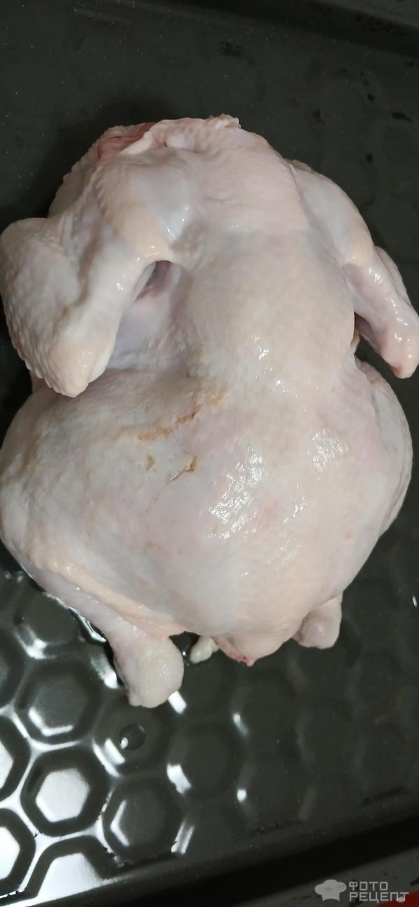 Цыпленок запеченный в сметанном соусе фото