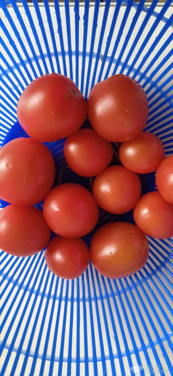 Камамбер запеченный с помидорами фото