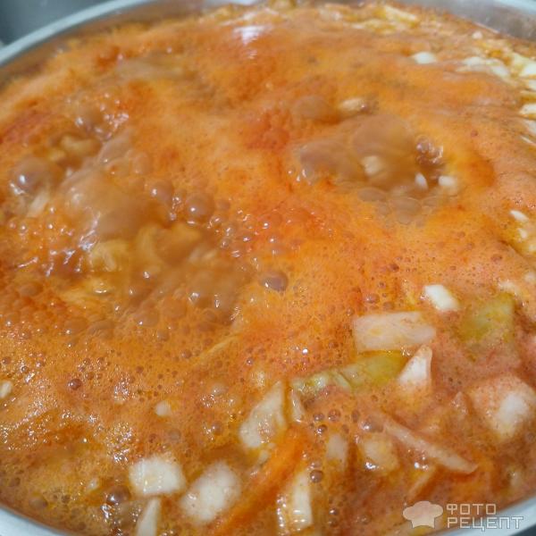 Постные томатные щи с рисом на грибном бульоне фото