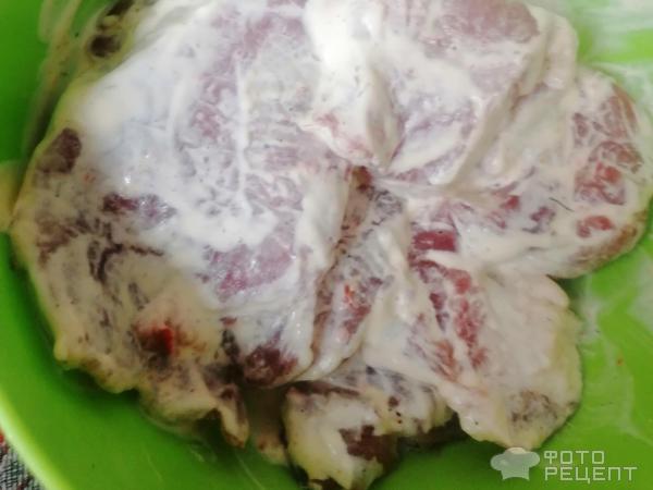 Свинина, запеченная в духовке с рисом и овощами фото