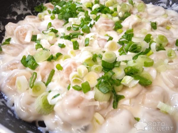 Жареные пельмени фото