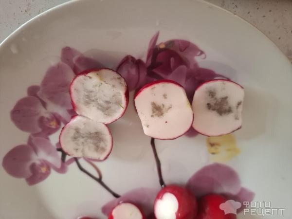 Салат весенний из редиса фото