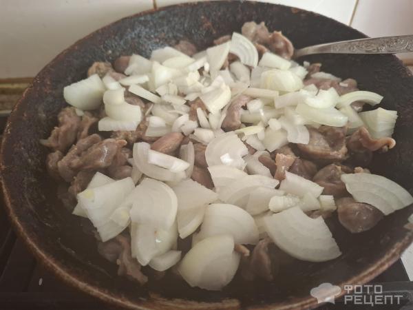 Куриные желудочки фото
