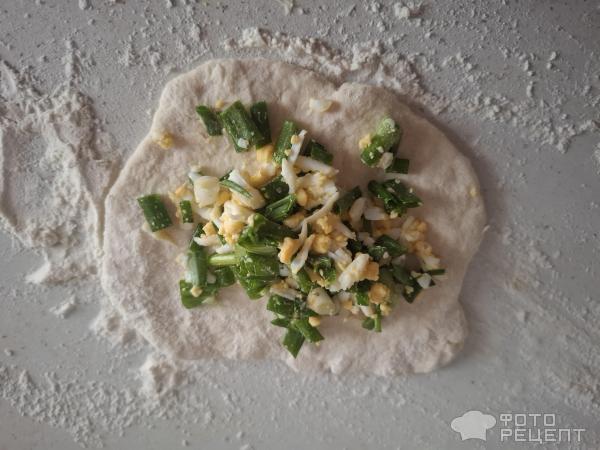 Жареные пирожки с яйцом и зеленым луком фото